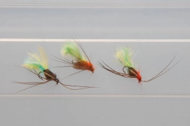 Protruding or swept back Protruding or swept back