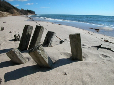 Almost tropic Almost tropic