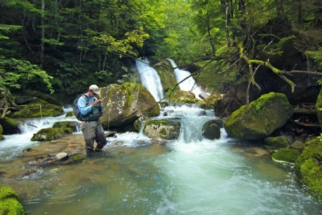 Quite beautiful Quite beautiful