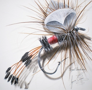 Royal Wulff Royal Wulff