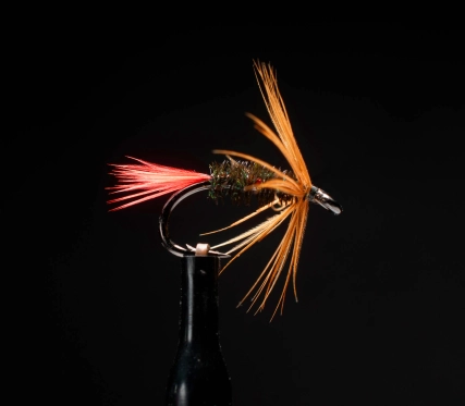 Soft hackle Red Tag Soft hackle Red Tag