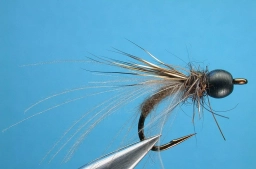 Diving CDC & Elk Diving CDC & Elk