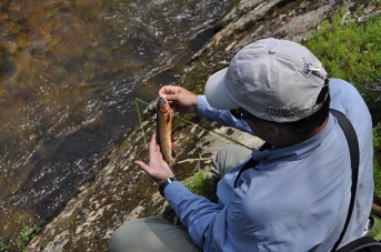 Picture Perfect Pesca! Picture Perfect Pesca!