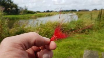 In the hand In the hand