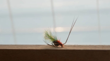 A clear profile A clear profile