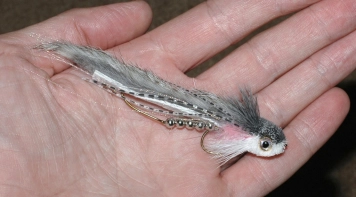 Rattlesnake with eyes Rattlesnake with eyes