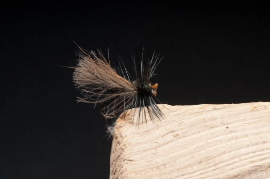 Lost Lake Caddis #5 Lost Lake Caddis #5