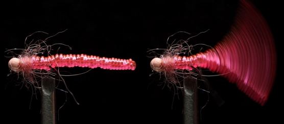 The spring in the tail. The spring in the tail.