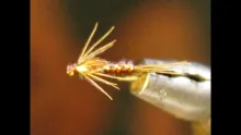 Video thumb for Flashback Pheasant Tail Nymph