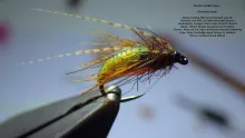 Video thumb for Elastic Caddis Pupa