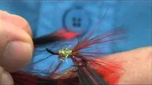 Video thumb for Gold & Orange Lite-Brite Shrimp