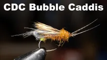Video thumb for CDC Bubble Caddis