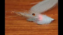 Video thumb for Spot shrimp