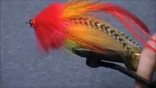 Video thumb for Red and Orange Pike Fly