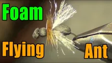 Video thumb for Foam Flying Ant