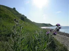 User submitted picture: View