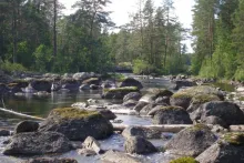 User submitted picture: From the streams of Herre...