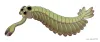 Opabinia