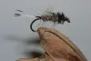 User submitted picture: Wild Trout Food          ...