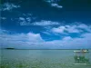 Computer screen wallpaper: Taking a break on the Mexican flats.