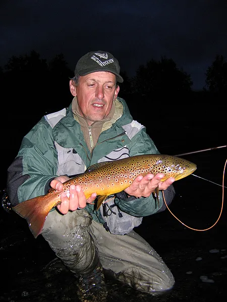 User submitted picture: Together in the night! by...