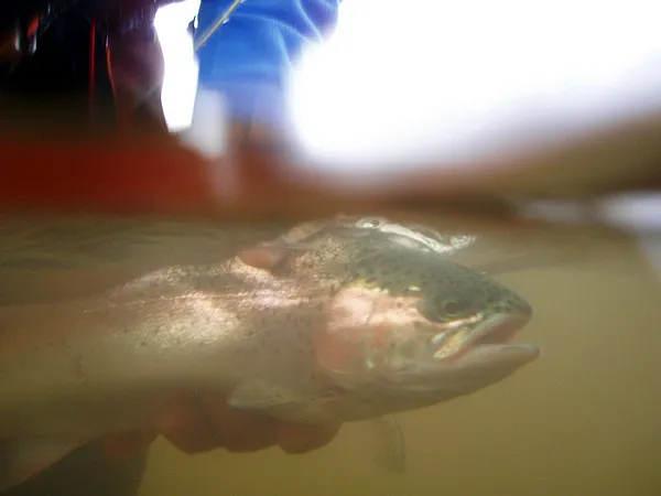 User submitted picture: Rainbow of the dark water...