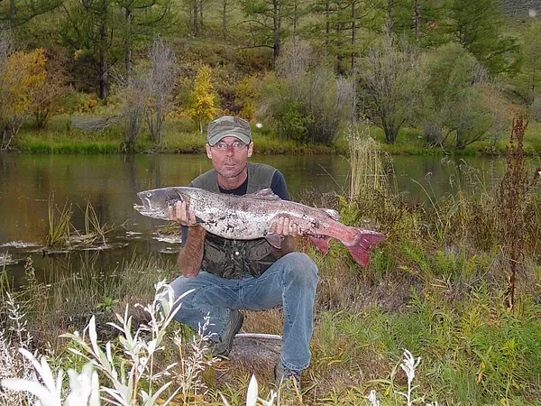 User submitted picture: A taimen landed and relea...