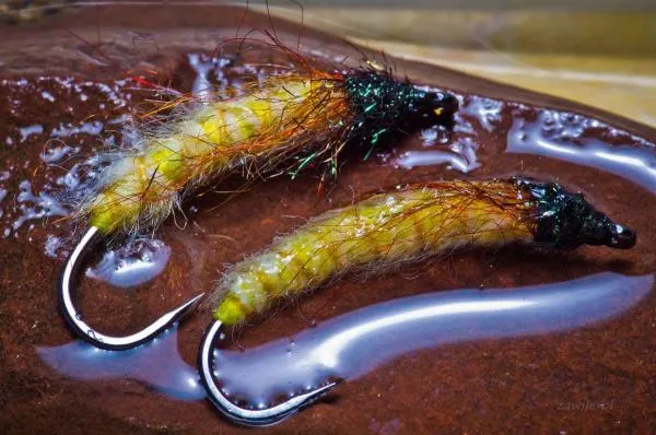 User submitted picture: Nymph 