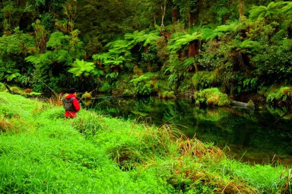 User submitted picture: waiting for the right mom...